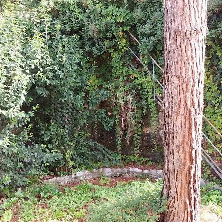 Casa Tina *